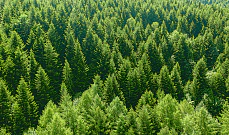 Развитие ESG-законодательства в ЕС: состояние, перспективы, ответственность